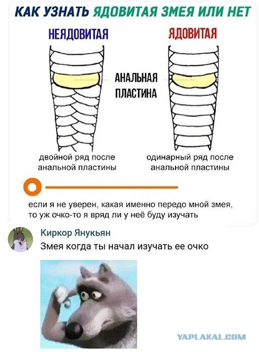 Чуток картинок. Субботний выпуск