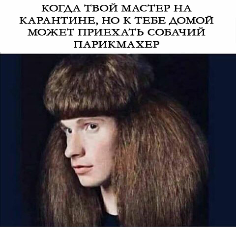 Дефект бруса