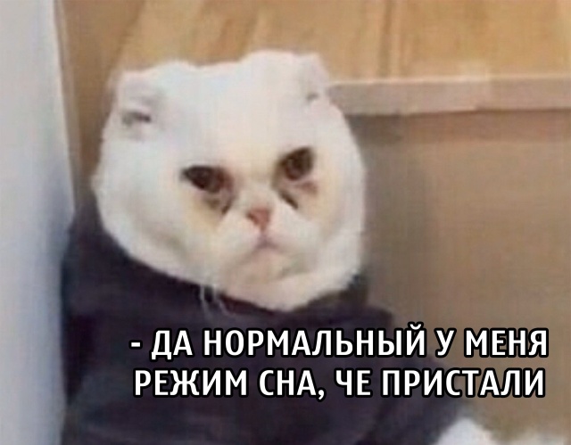 Немного картинок для настроения 19.08.20