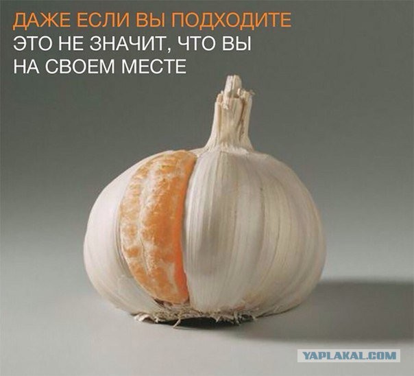 Несколько одинаковых ножей