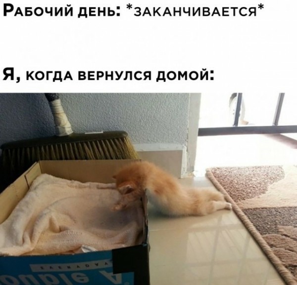 Мемасики от Димасика - Часть 3
