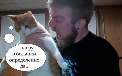 Мой хозяин - ИДИОТ!