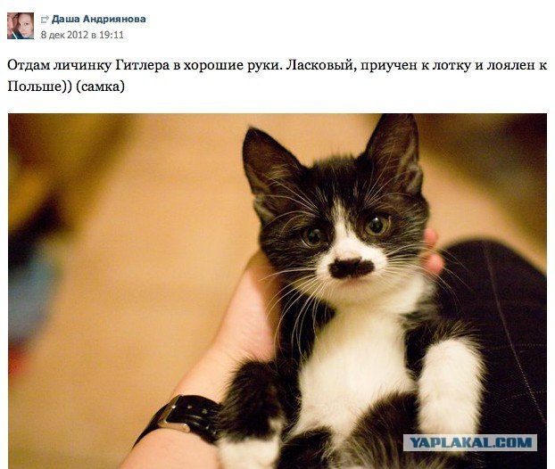 Кто стучит в дверь?
