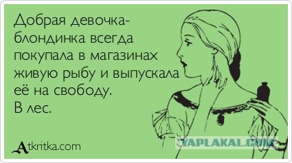 Спасение дельфинёнка