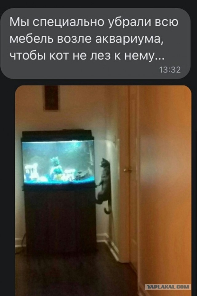 Бредзона 16.07.2021