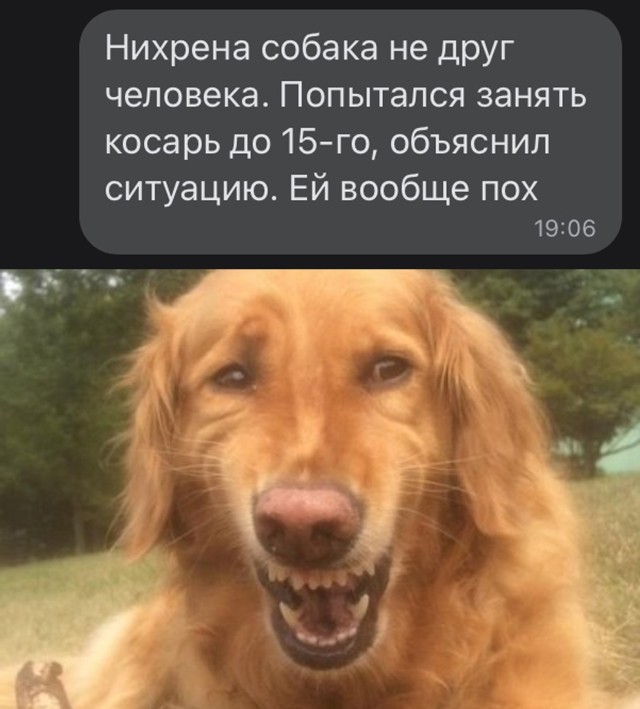 15 картинок сарказма