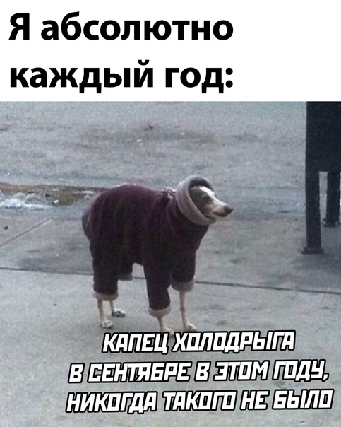 Алкопост 24.09.21