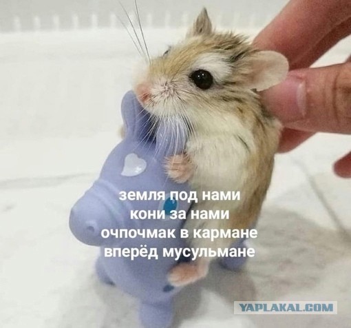 Как будет "Майдан" по-казахски? Полиция задержала более сотни людей