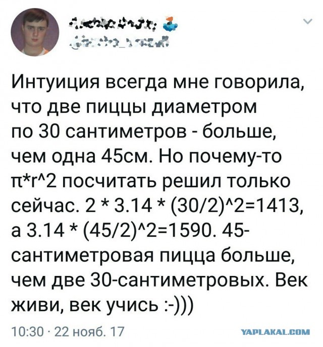 Человек собаке друг и другие картинки под настроение 13.01.2022