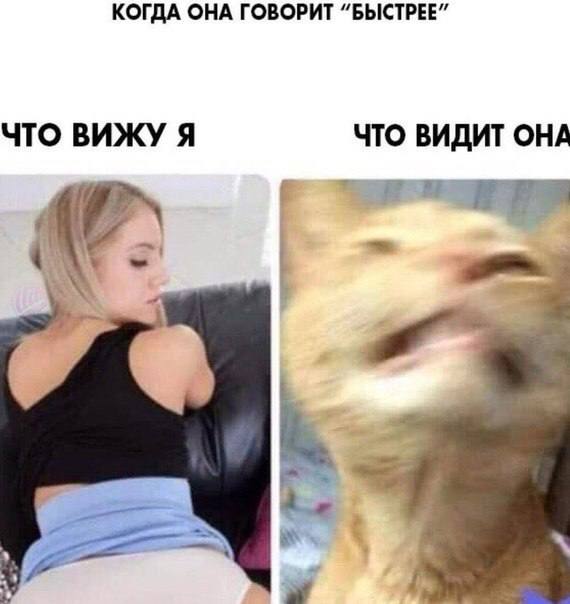 Картинки аморальные и всякие разные - 23