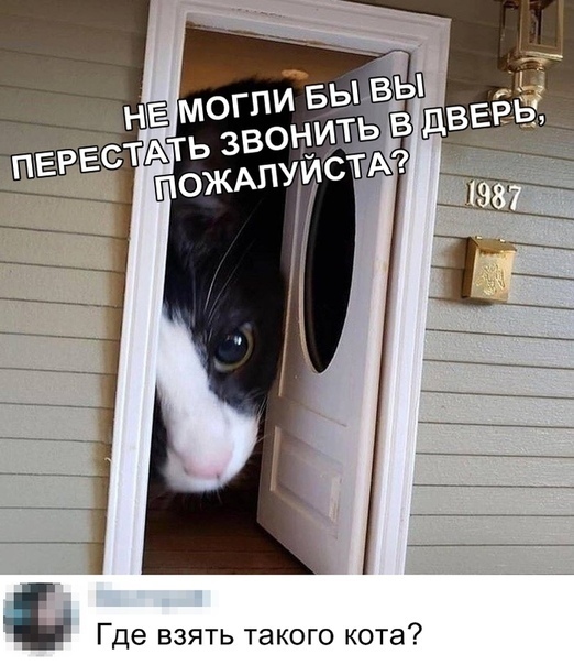 Так себе картинки 31.03.22