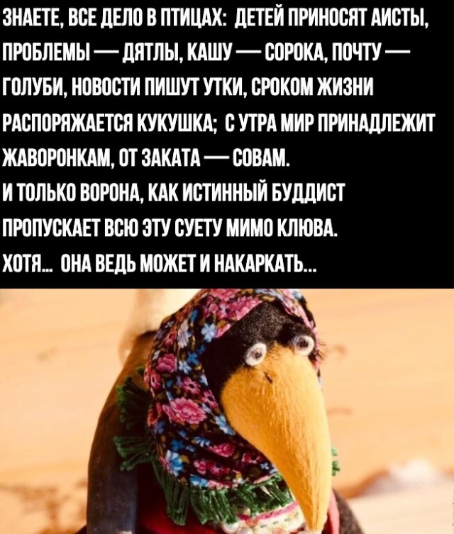 Так себе картинки 14.04.22