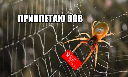 Погиб герой одного из репортажей, танкист Дамир Шаймарданов