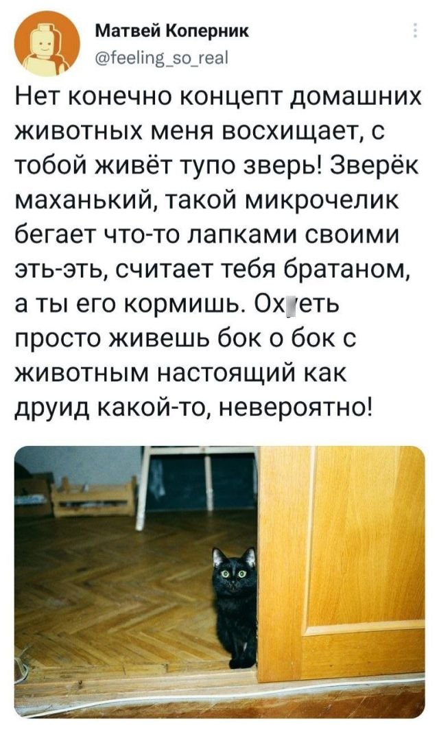 Картинки и мемы. Выходные близко...