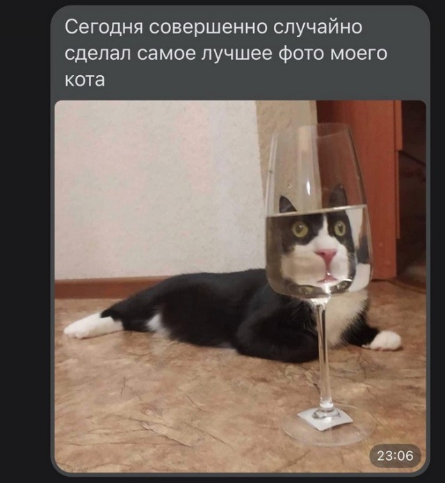 Немного картинок для настроения