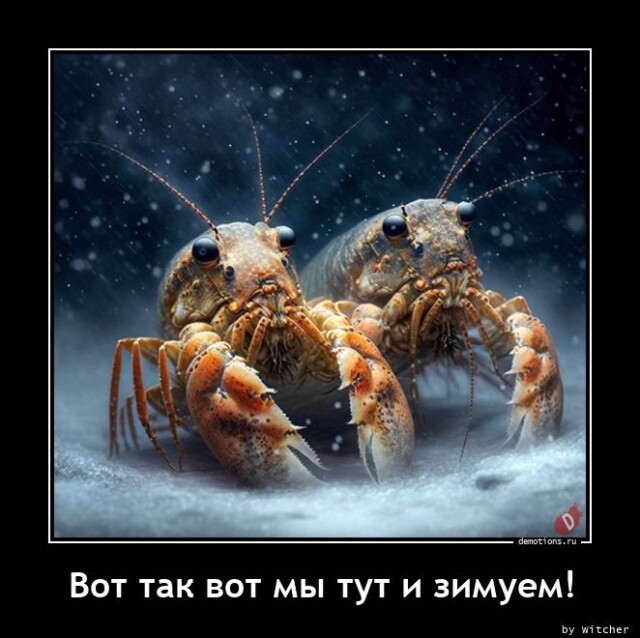 Картинки с надписями 07.01.23