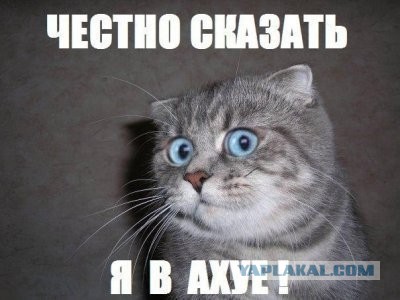 Вот такие сволочи среди нас