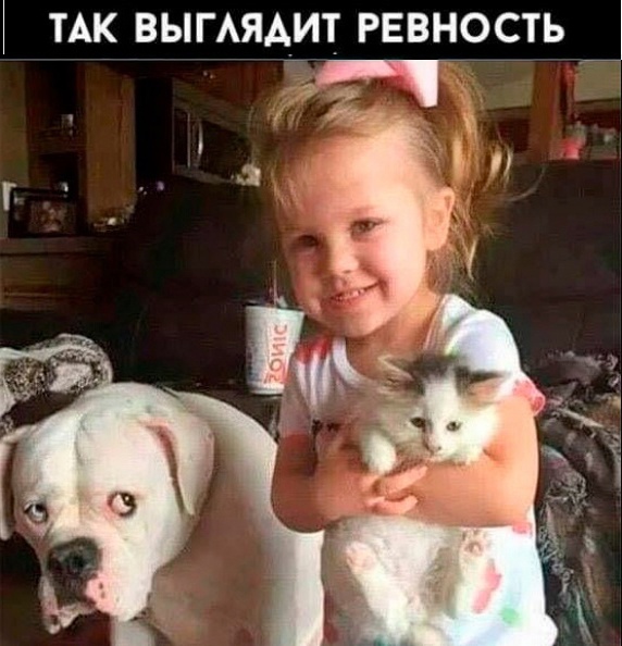 Так себе картинки 03.04.23