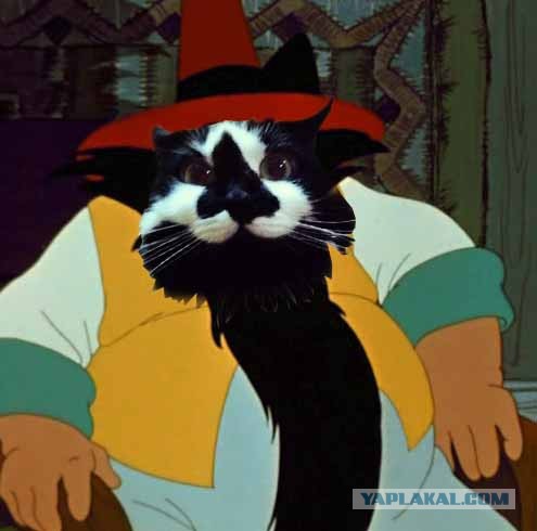 Улыбающийся кот - антагонист "Грустного кота"