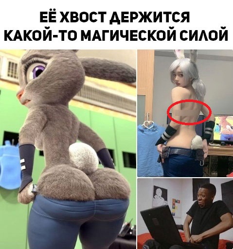 Так себе картинки 10.10.2023