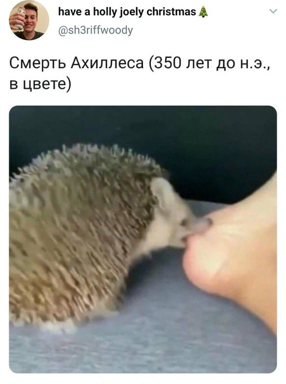 Ужастик на сон грядущий