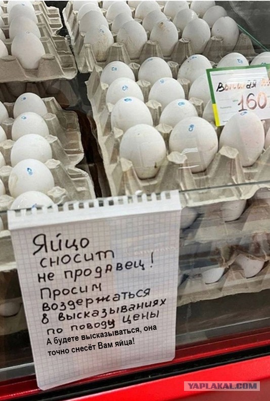 Весёлый полтишок 31.12.23