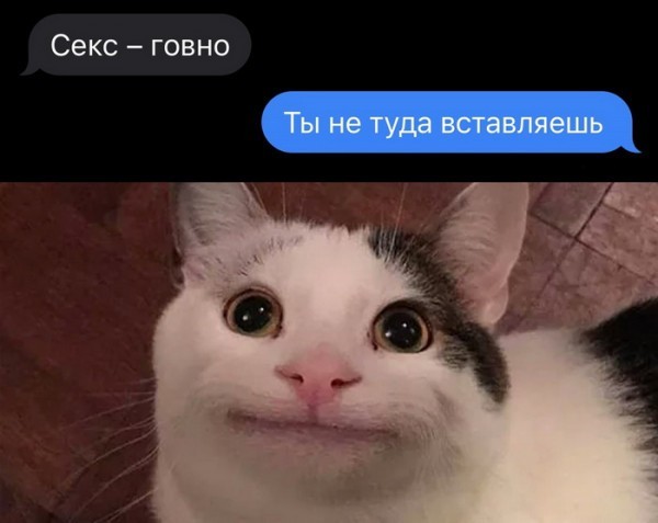 Пятничные картинки 19.01.2024