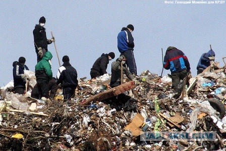 Переработка отходов в Нидерландах
