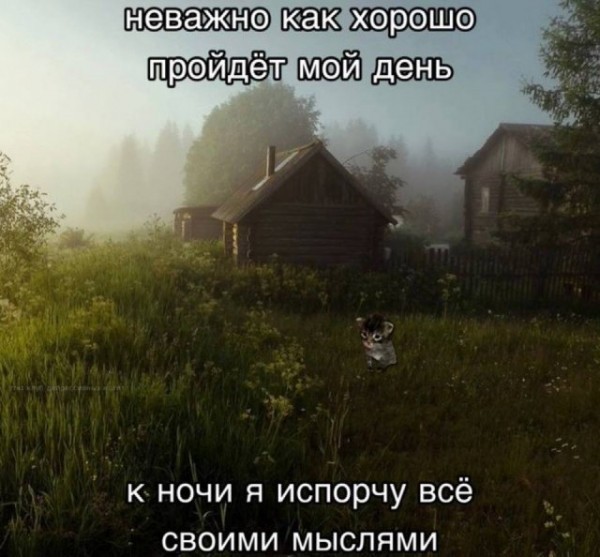 Так себе картинки 28.07.24