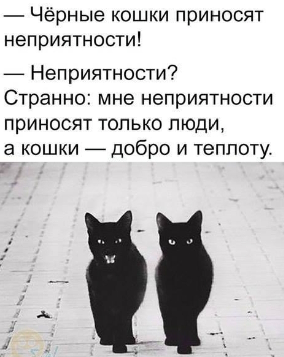 Картинок лопата от 25.10.24