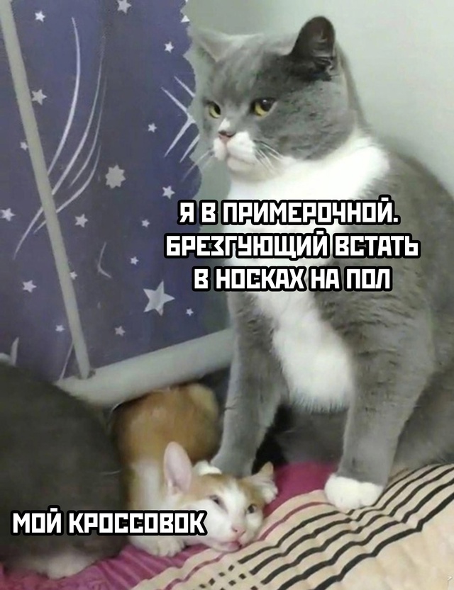 Так себе картинки 18.01.25
