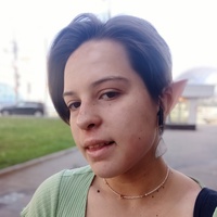 Сейф с 50 млн мошенники вынесли из квартиры председателя правления общероссийского народного движения "За сбережение народа"