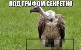 Пять "Пятничных" картинок