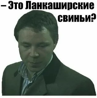 Убил фермера выстрелом в пах: новые подробности биографии Мушега Акопяна из Ростовской области, подозреваемого в убийстве