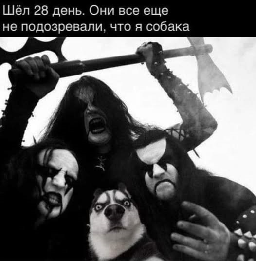 Картинки разные с надписями и без