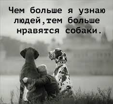 В Новосибирске более 200 человек пришли на митинг против эвтаназии животных.