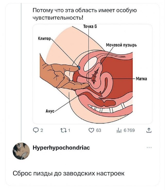 Недооценённый метод лечения депрессии и тревожности у женщин из прошлого