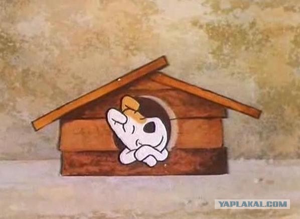 Будка своими руками.