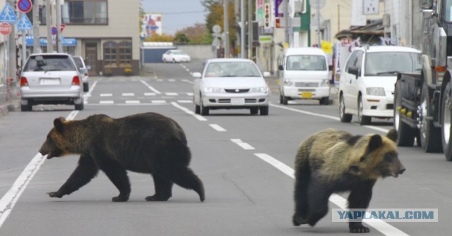 Обычный день во Флориде.