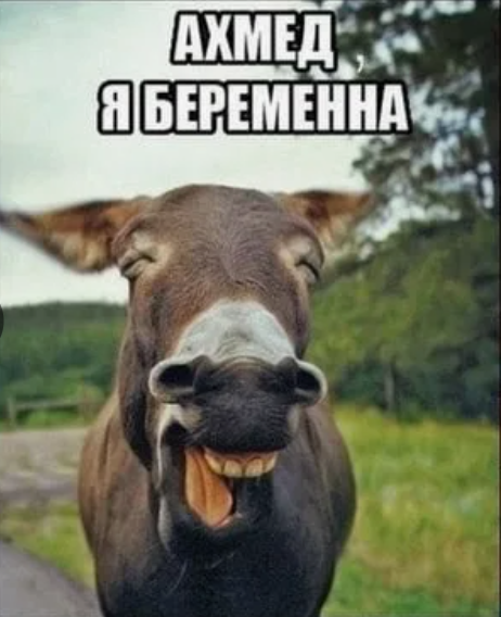 "Мой территория пакинь!!!"