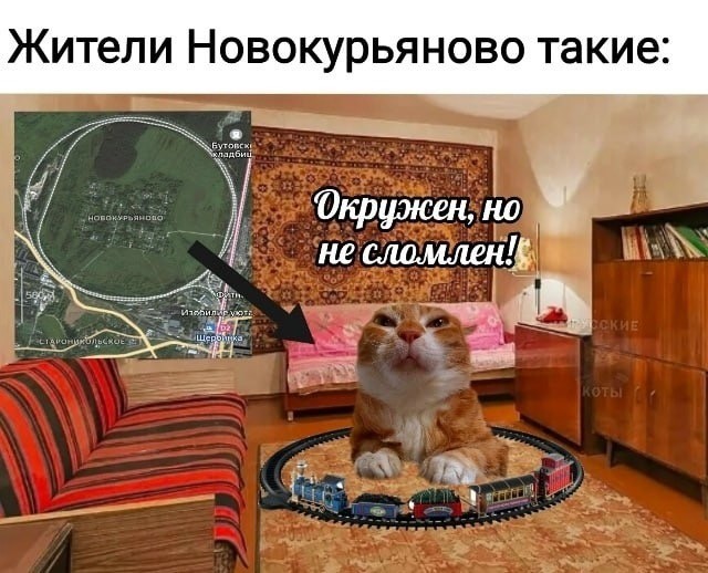 Прикольные и просто красивые картинки 02.12.2025