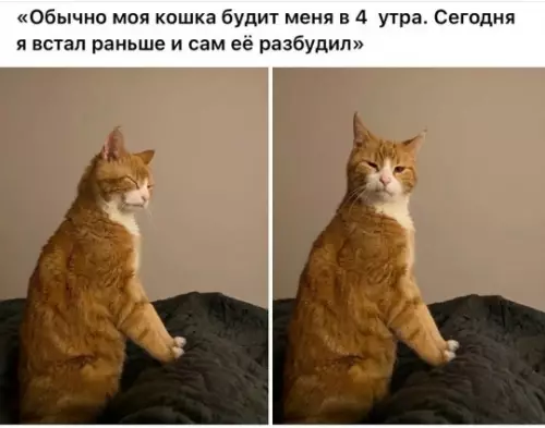Воскресные картинки