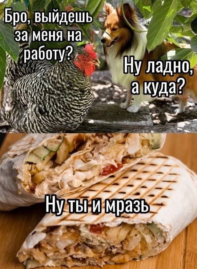 Картиночки, баянчики 08 января