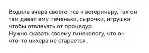 «Не от кого рожать»