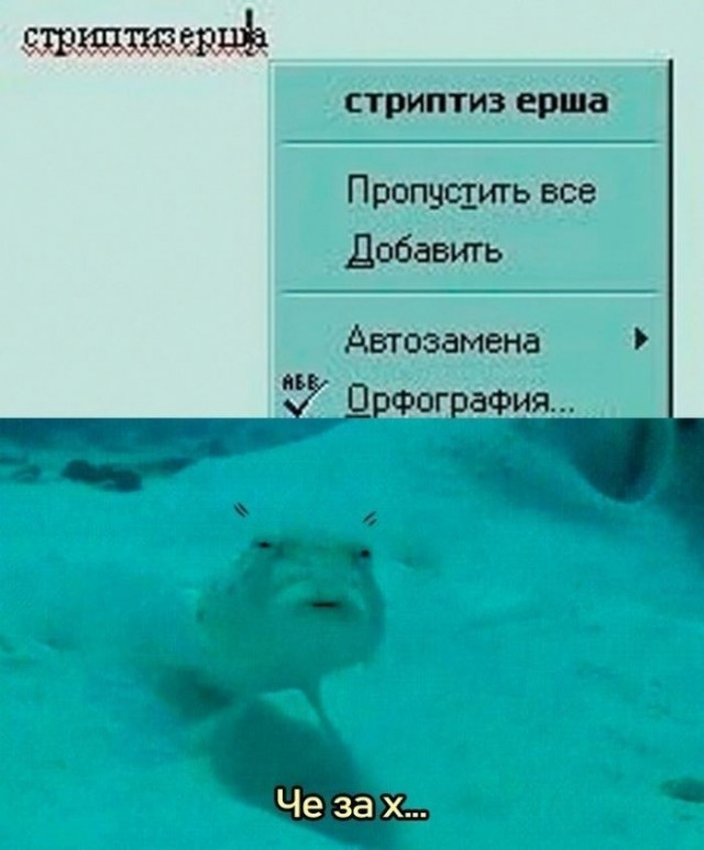 Картинки для деградации 207 (разной степени свежести)