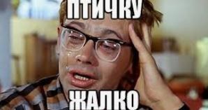Дерзкий страус не вывез