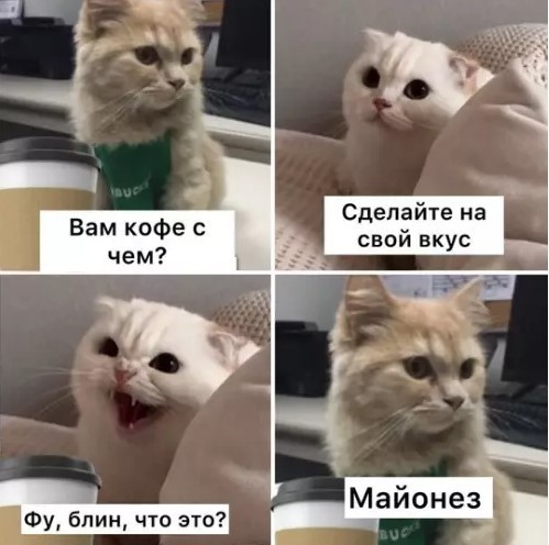 К котовторнику: подборка картинок-баянов с котиками и про котиков. Выпуск 40.