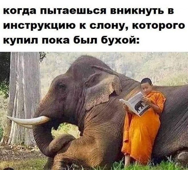 Ужас и Адъ