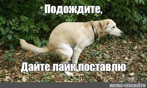 Программа „Аполлон“ и мифические высадки на Луне опровергаются... другой программой NASA: AAP