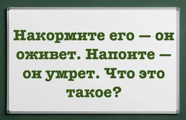 Так себе картинки 10.09.26